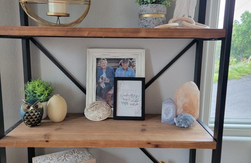 How To Decorate Your Bookshelf Like A Pro
